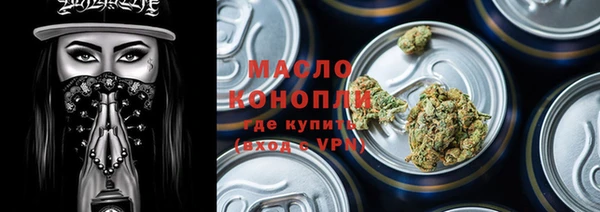 МДПВ Пересвет