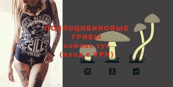 МДПВ Пересвет