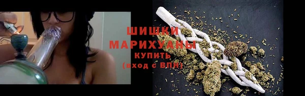 МДПВ Пересвет