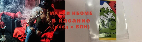 МДПВ Пересвет