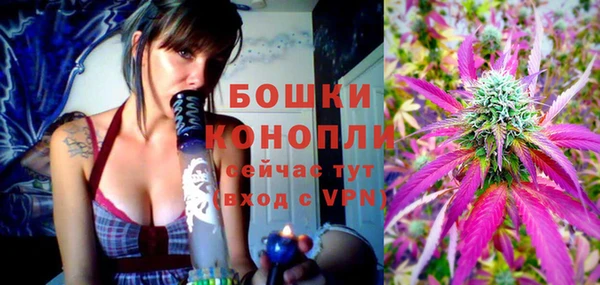 МДПВ Пересвет
