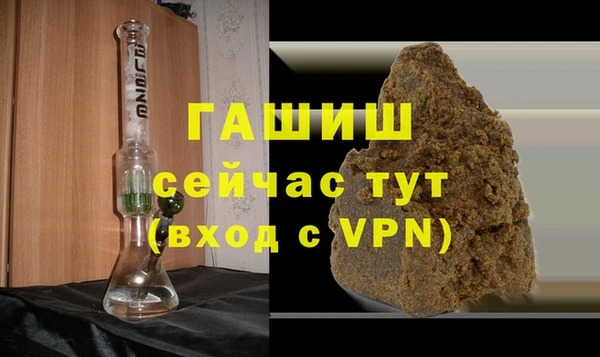 МДПВ Пересвет