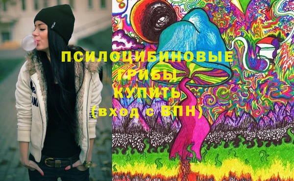 мяу мяу мука Переславль-Залесский