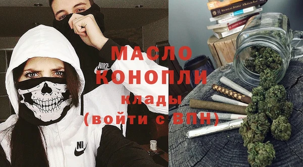 МДПВ Пересвет